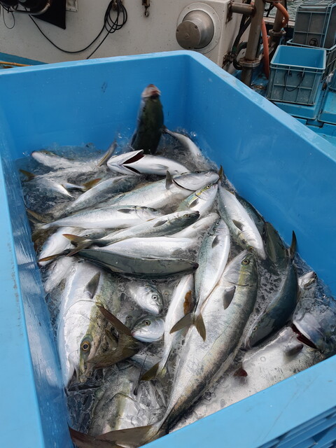 和sian-cafe aimaki &ndash; 陸前港 | 南三陸町の和風カフェ