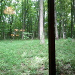 蕎麦と料理　ら - 