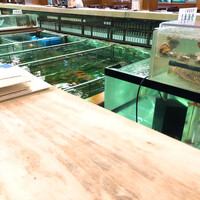 博多料亭 稚加榮 - いけす