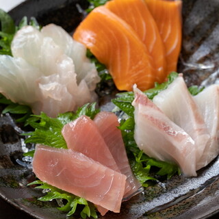 江の島 ハルミ_1