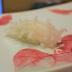 鮨 井上 - ヤリイカ