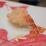 鮨 井上 - 車海老