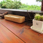 島野菜カフェ Re:Hellow BEACH - 卓上