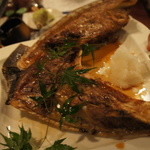 酒嗜　ふる川 - マグロカマ