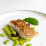 レストラン オオツ - 青森深浦ノドグロ（魚体1.3kg）浅蜊出汁ソース 枝豆 トランペットズッキーニ ズッキーニのピュレ