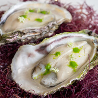 レストラン オオツ - 長崎岩牡蠣 岩牡蠣とエシャロットのムース 柑橘類のゼリー