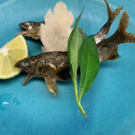 おおさか料理  浅井 - 