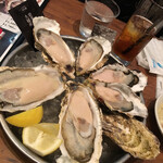 OysterTable - 