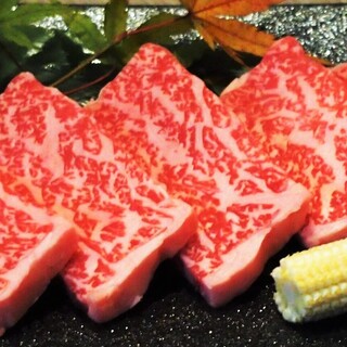 Yakiniku (Grilled meat) with the finest Iga beef. Enjoy the flavor and aroma