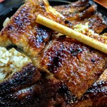 多゛伊悟 - うなぎアップ