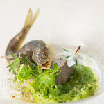 Musai An Ikeda - Tenryugawa Sweetfish Pâté with Ancient Cucumber (Chef's Omakase Course)