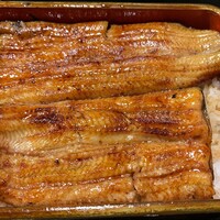 うなぎ 目白ぞろ芽 - うな重上