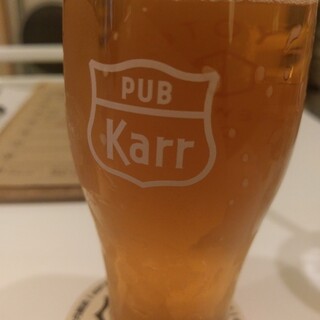 PUB Karr_0