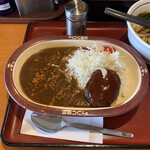 山田うどん - R2.7  クーポンオンのハンバーグカレーにしました。