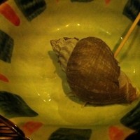 今彩 - 色彩コース6300円-【前菜8種取り合わせ】磯つぶ貝のサフラン＆ジンジャー風味4点