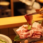 Shabu Shabu Ton Ton - 