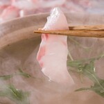 鯛之鯛 - 