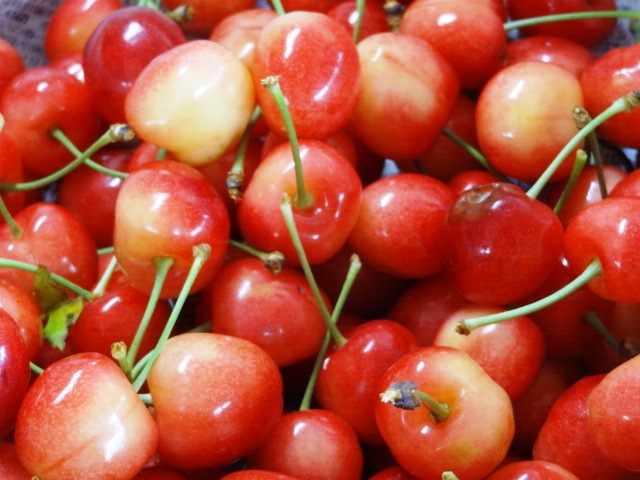 神町りんご研究所 - 神町（その他）の写真