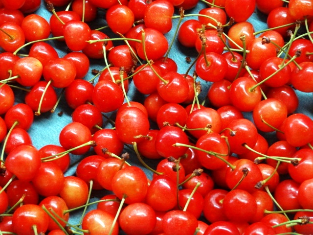 神町りんご研究所 - 神町（その他）の写真