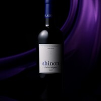 深穏shinon