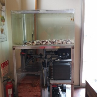 活龍“海”専門店 海 カツリュウ_2