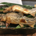 赤坂 菊乃井 - 昼懐石１２１００円。鮎塩焼き。琵琶湖産の天然物です。小ぶりですが、香り、肝の深い苦味と存分に楽しめます（╹◡╹）（╹◡╹）