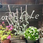 ノースポール - 店舗前のスペースにも…