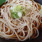 蕎麦230 - かけそば冷550円 大盛150円