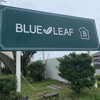ブルーリーフ