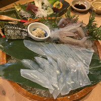 寅八商店 心斎橋店 -  寅八商店 心斎橋店 -