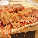 らんまる - 立派なボタン海老