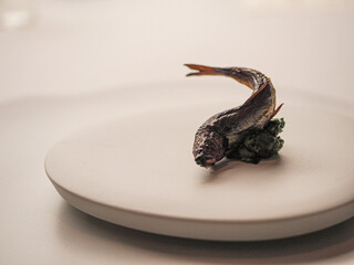 東京国際フォーラム周辺のランチ20選 おしゃれな人気店 食べログまとめ