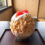 TRICO - アプリコットグレープフルーツクリエ