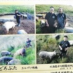 とんかつ 栄ちゃん - 