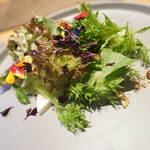 アグリスケープ - サラダ