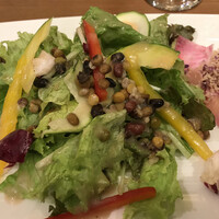 アマルフィイ・モデルナ - 