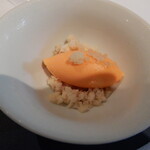 モトイ - ヴェルヴェンヌ香るパプリカのソルベ