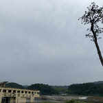 まつばら食堂 - 