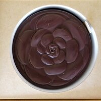 ベージュ アラン・デュカス 東京 - 