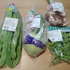 いで湯っこ市場 - 購入した野菜