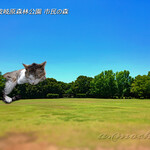 ディグルパン - 近くの公園でいただきました