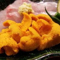 東茶屋 なかむら - ④塩水蝦夷馬糞雲丹(北海道余市産)
                    産卵期は夏～秋、旬は初夏～夏
                    雲丹は最初の一口は必ず舌の上に5秒ホールドして頂きます
                    そうすると香り、味わい、後味で雲丹の種類が分かります