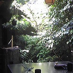 奈良町豆腐庵 こんどう - 中庭を眺めながらのお食事なら気分も最高に！