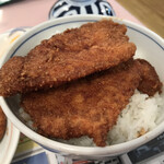 敦賀ヨーロッパ軒 - ミニカツ丼アップ