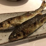 すし匠 まさ - 稚鮎