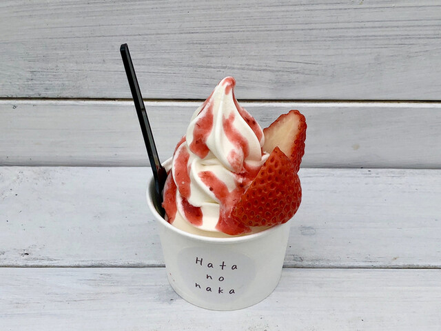 ハタ ノ ナカ Hata No Naka 仁木 ソフトクリーム 食べログ