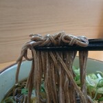 岩見沢サービスエリア（下り線） - もちろん冷凍麺