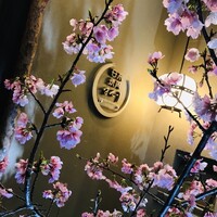 日本焼肉 はせ川 銀座店 - 