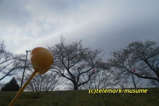 松屋菓子店 - 郡山市その他（和菓子）の写真
