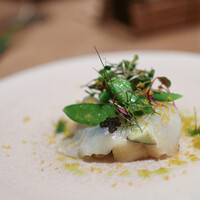 Itsuki - 2020年7月再訪：Antipast 平目 唐墨☆